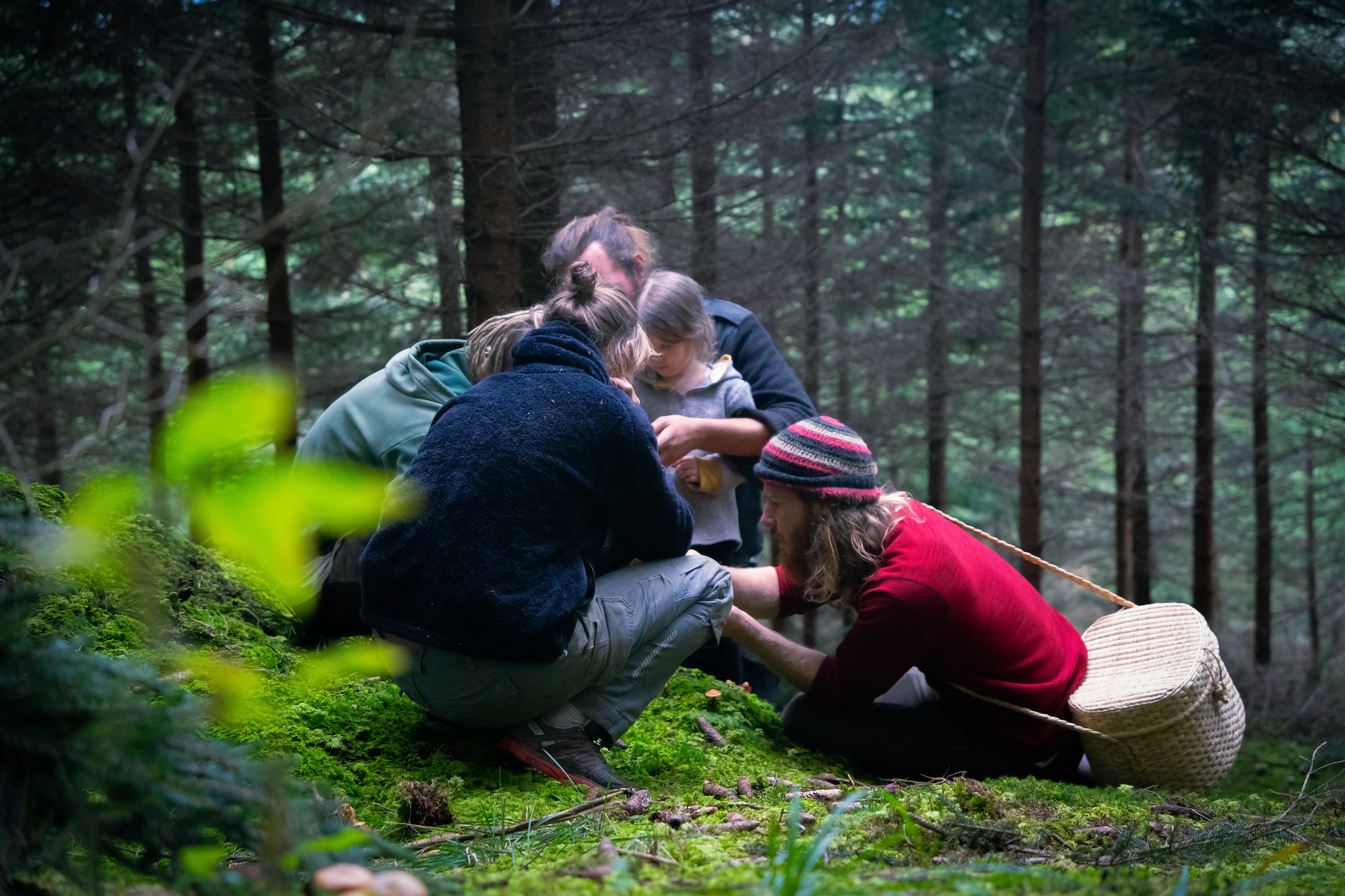 Pilzwanderung Allgau Wildnismanufaktur